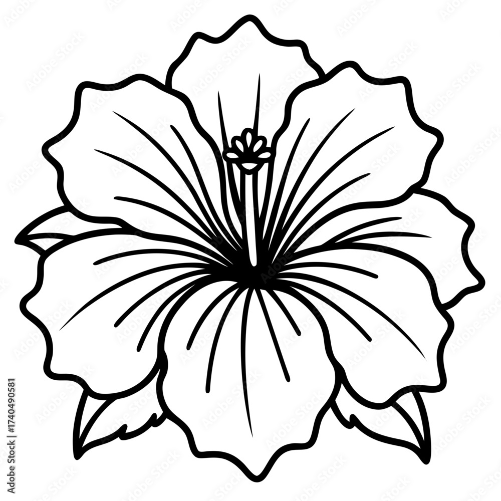 Fototapeta premium Hibiscus Radiance Line Drawing 