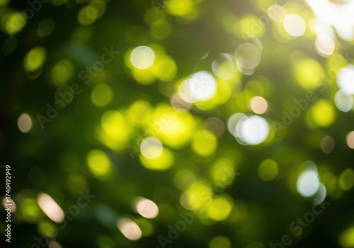 Abstract bokeh lights green nature background soft focus sunlight