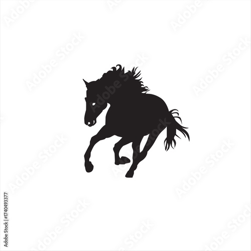 Horse, a dynamic and cool animal