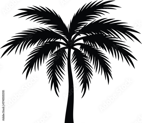 Beautiful palm tree leaf silhouette vector