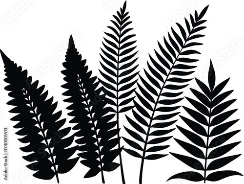 diverse fern and tropical plant leaves clean silhouette collection with minimalist flat design.