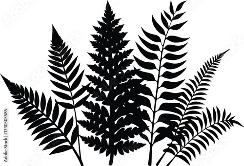 diverse fern and tropical plant leaves silhouette vector collection with minimalist flat design.