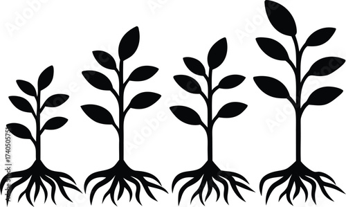 Plant Growth Stages with Root System Silhouette Vector