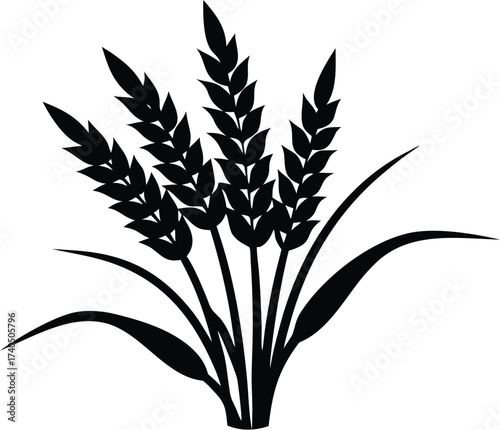 Rice Plant with Grains silhouette vector