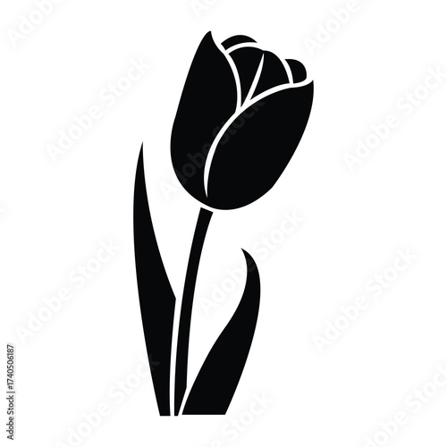 Elegant tulip flower silhouette blooms gracefully on a stem with leaves against a white background