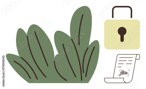 Green leafy plant, secure padlock, signed legal document symbolizing privacy, security, confidentiality, protection, data safety, compliance, eco-friendly policies rights and control in a simple