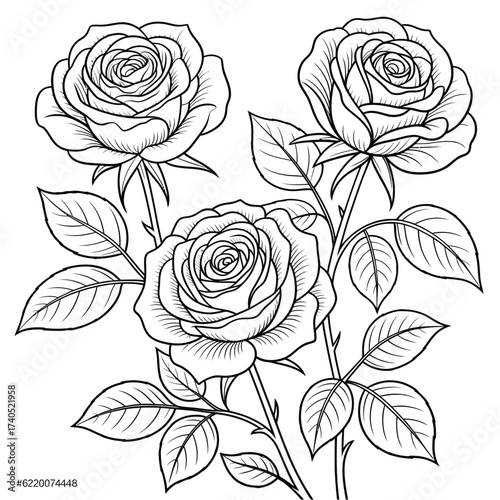 Elegant black and white line drawing of three blooming roses