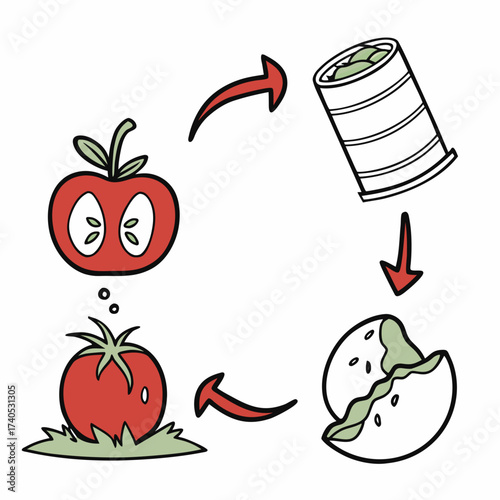 Simple cartoon illustration depicting the life cycle of a tomato from seed to canned food and then to a tomato slice