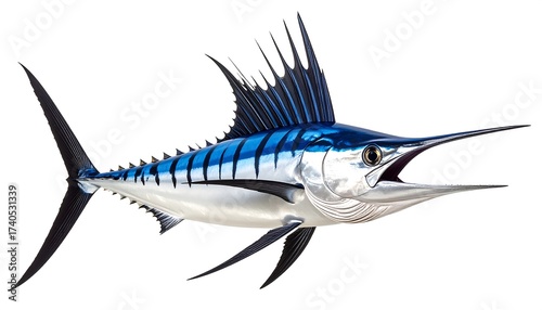 Side view of a blue marlin