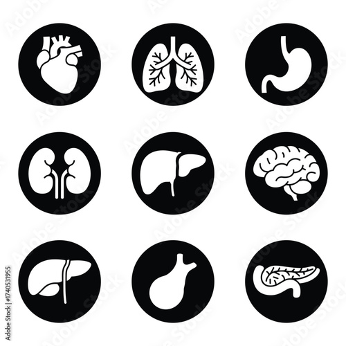 Set of nine black circular icons depicting human organs in white outlines Keywords: human organs, heart, lungs, stomach, kidneys, liver, brain, gallbladder, pancreas, anatomy, biology, medical