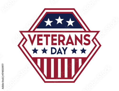 Veterans Day patriotic vector graphic with stars and stripes design
