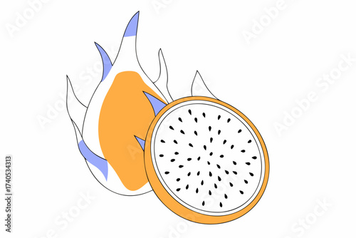 vector illustration of a fish