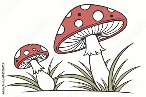 fly agaric mushroom