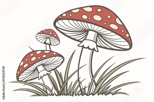 fly agaric mushrooms