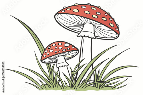 fly agaric mushroom