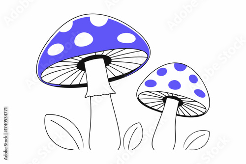 fly agaric mushroom
