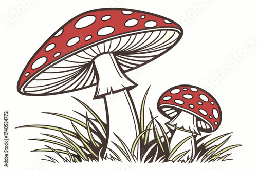 fly agaric mushrooms