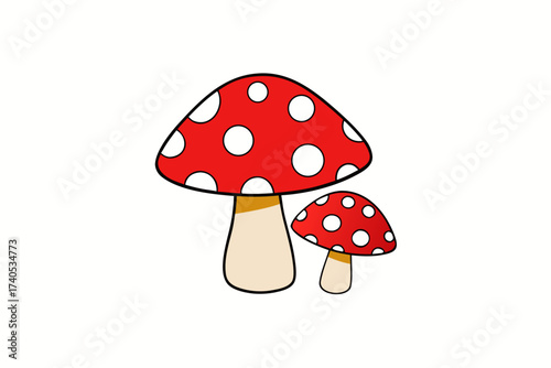 fly agaric mushroom