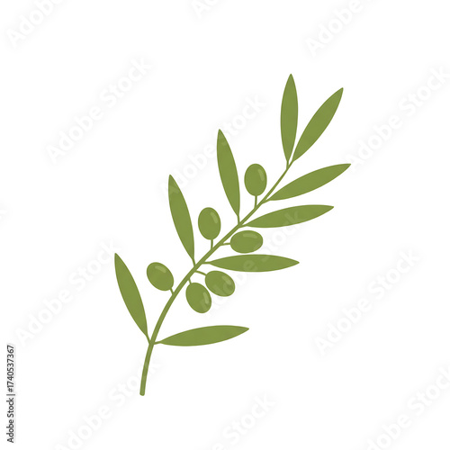 Minimalist Olive Branch with Green Olives Flat Vector Illustration - Mediterranean Food, Oil, and Organic Natural Ingredient Graphic