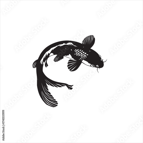 beautiful and charming koi fish