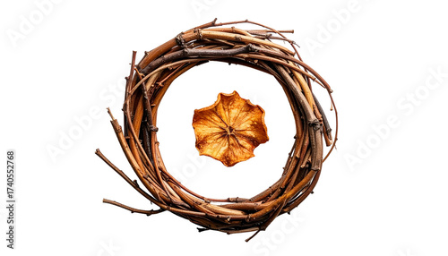 Dried flower inside a rustic grapevine wreath on black background