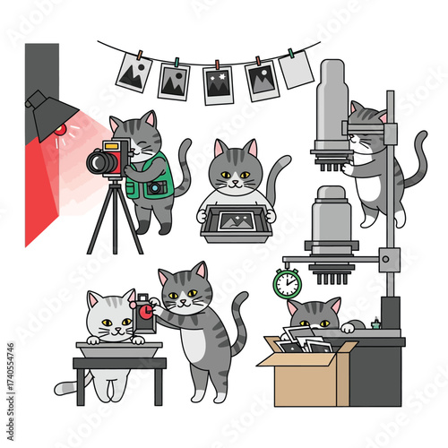 Cartoon cats engaged in various stages of photography, from taking pictures to developing film and printing photos in a darkroom setting.