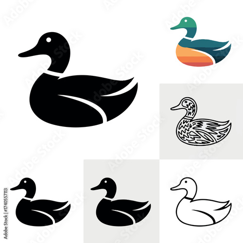 duck and ducklings