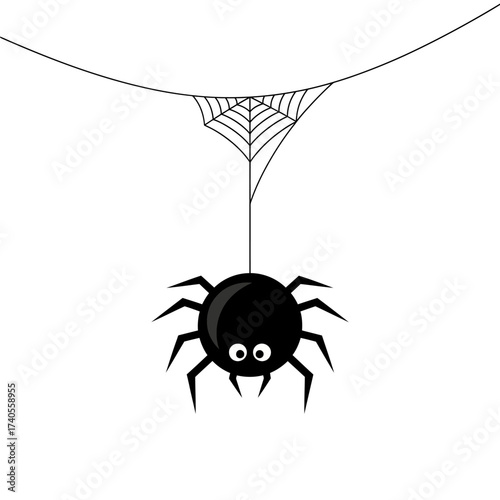 spider