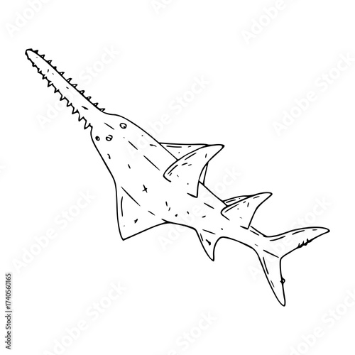 sawfish shark line art drawing