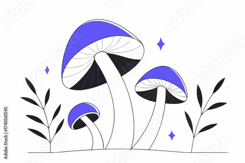 blue and white flower