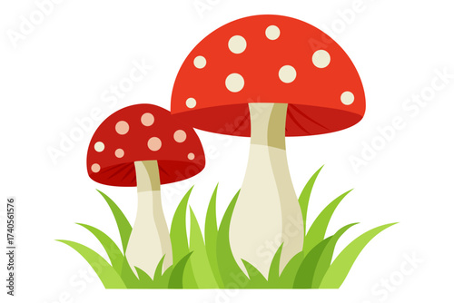 fly agaric mushroom