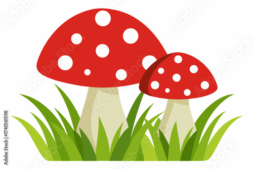 fly agaric mushroom