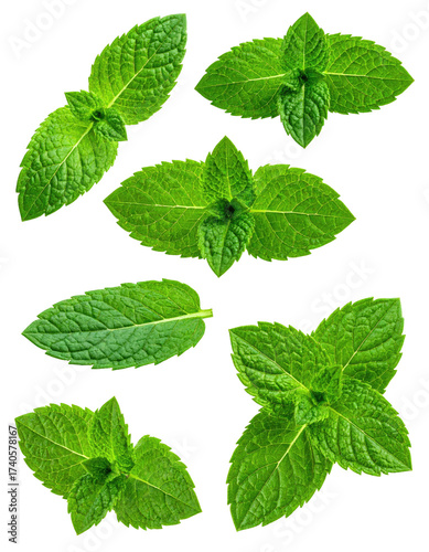 Fresh mint leaves, top view, close-up