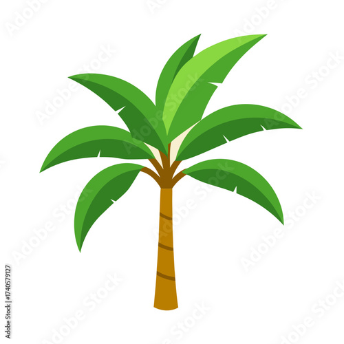 palm tree vector illustration
