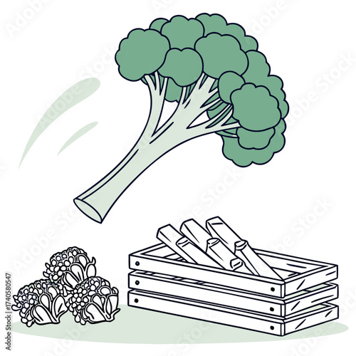 A healthy broccoli floret is tossed into a wooden crate next to a pile of florets on a white background