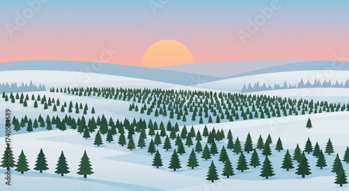 Winter Landscape with Snow Covered Trees at Sunset