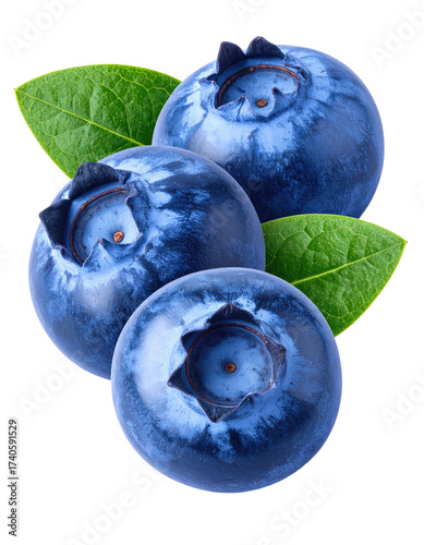 Close-up of three blueberries with leaves. Vibrant blue berries, slightly different shades, sit atop bright green leaves