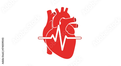 Red anatomical heart with heartbeat signal symbolizing cardiac health awareness