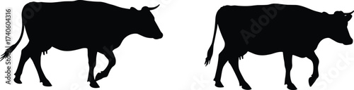 Cow silhouettes walking side by side, black cattle illustration, rural livestock movement, farm animal design, agriculture concept, nature pasture, vector art