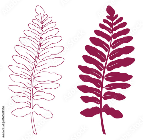 Elegant botanical illustration featuring two simple fern leaf designs on white background