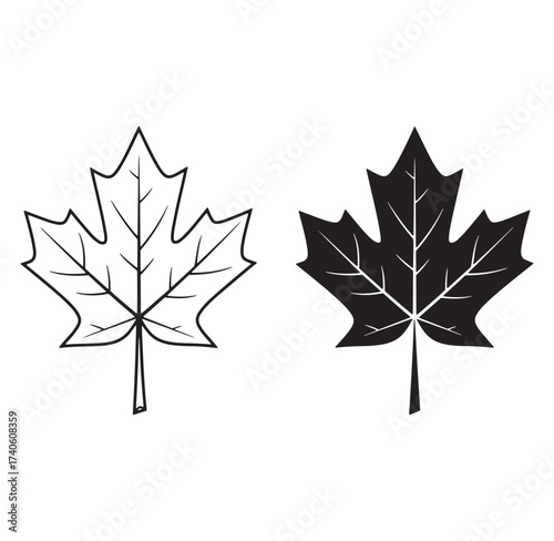 Minimalist maple leaf designs in black and white representing nature and canadian symbolism