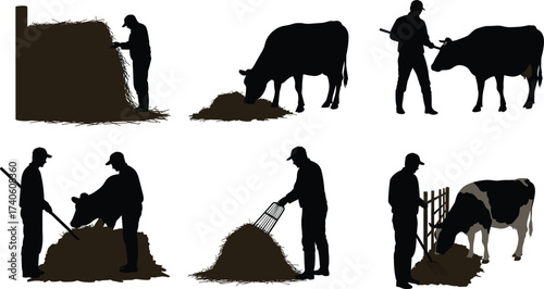 Farmer and cow silhouettes with hay, rural livestock feeding, agriculture work, farm animal design, black vector illustration, nature pasture concept