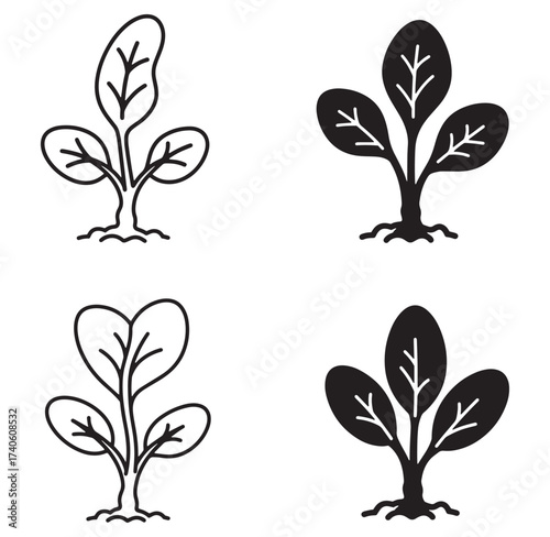 Simple and stylish illustrations of various spinach plants growing from roots on a white background