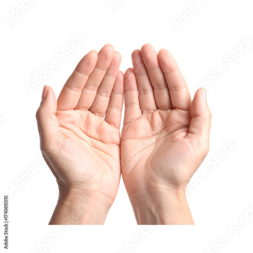  Two Human Hands Gently Cupped, isolated on a transparent background