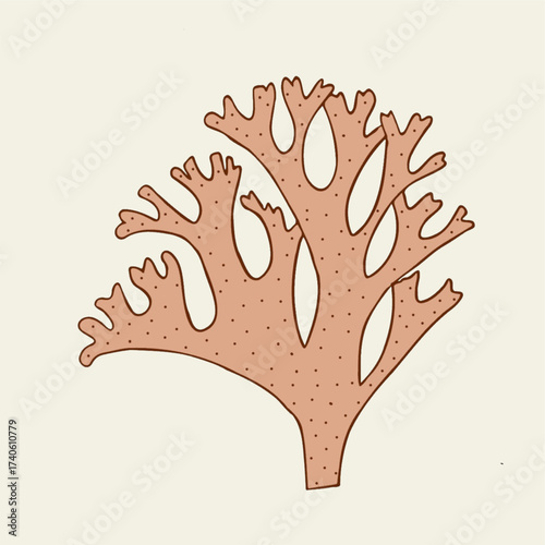 brown algae dictyota diagram biology science botany educational illustration.eps