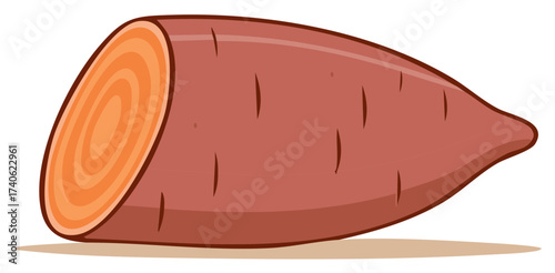 Vector illustration of a ripe orange sweet potato with visible layers cut open showing its texture