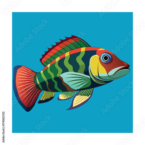 Colorful Cichlid Fish Illustration on Blue Background Keywords: fish, cichlid, aquarium