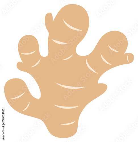 Simplified illustration of fresh ginger root, a common spice in culinary uses.