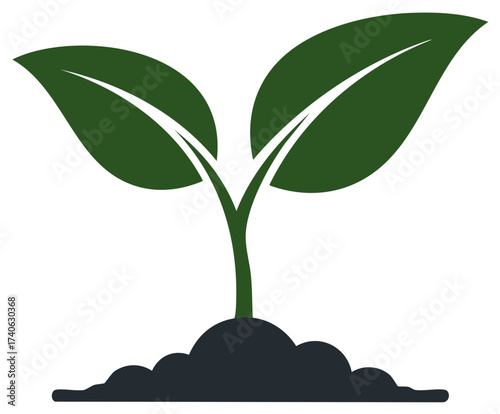 Young green plant sprout emerging from fertile soil representing growth, nature, and new beginnings