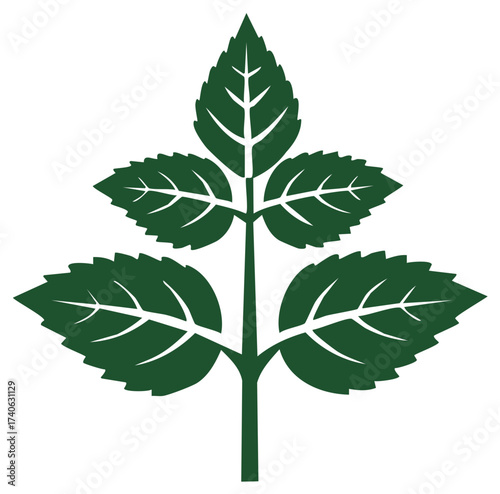 Green mint sprig with leaves flat vector design icon. Fresh herbal plant botanical illustration.